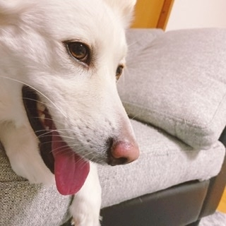 京 さゆみ