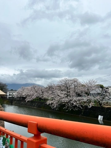 まみ