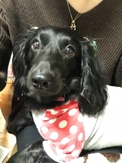 りえ