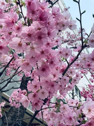 りの