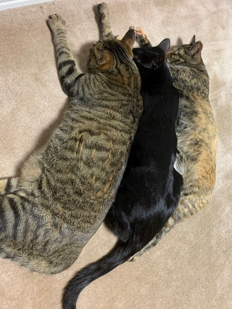 あお