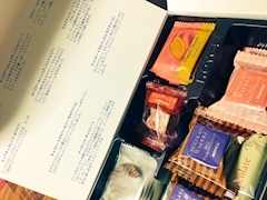沙良 純