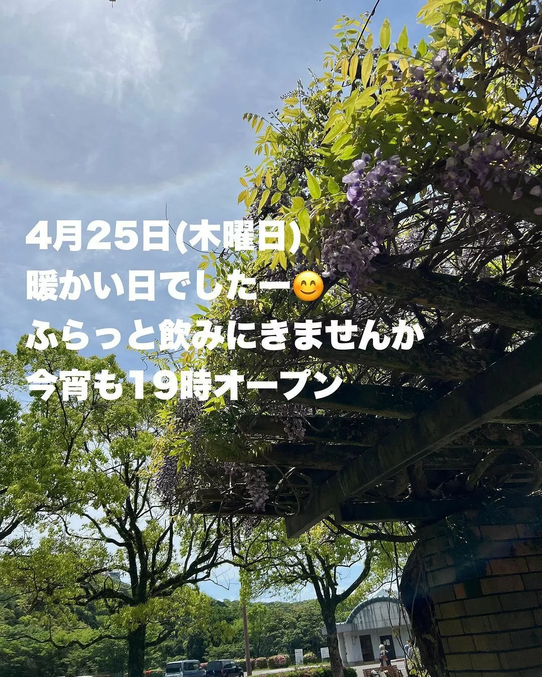 藤本 祐子ママ