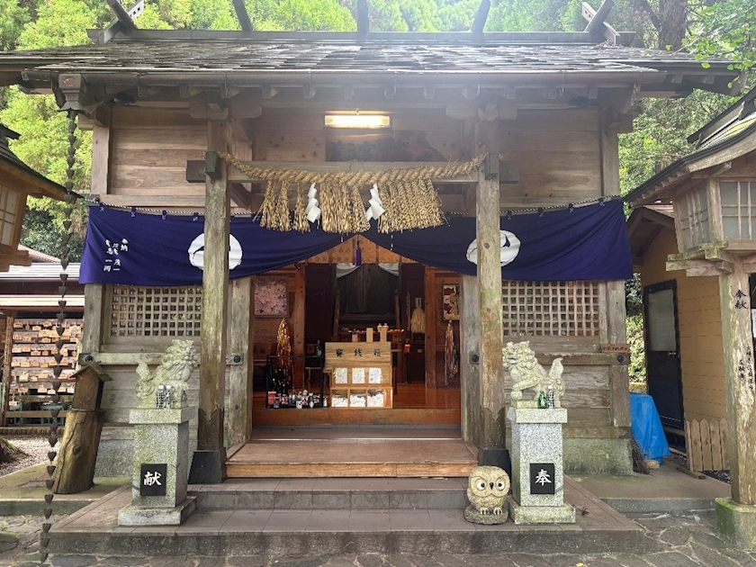 椿