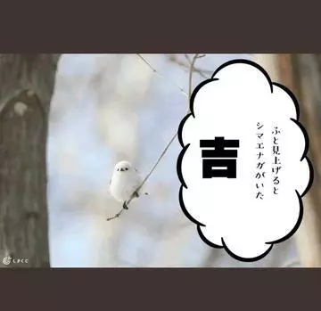 ひな