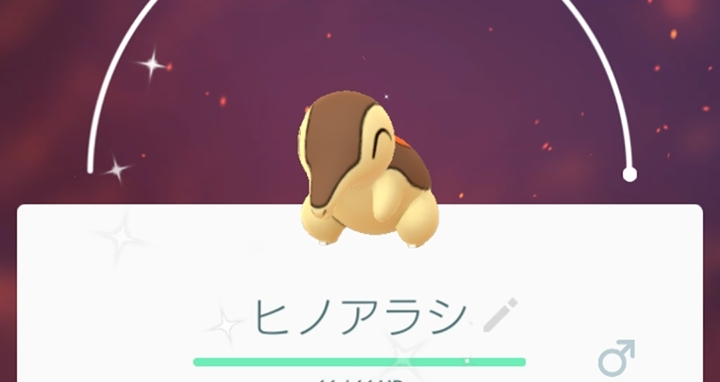五条 椿