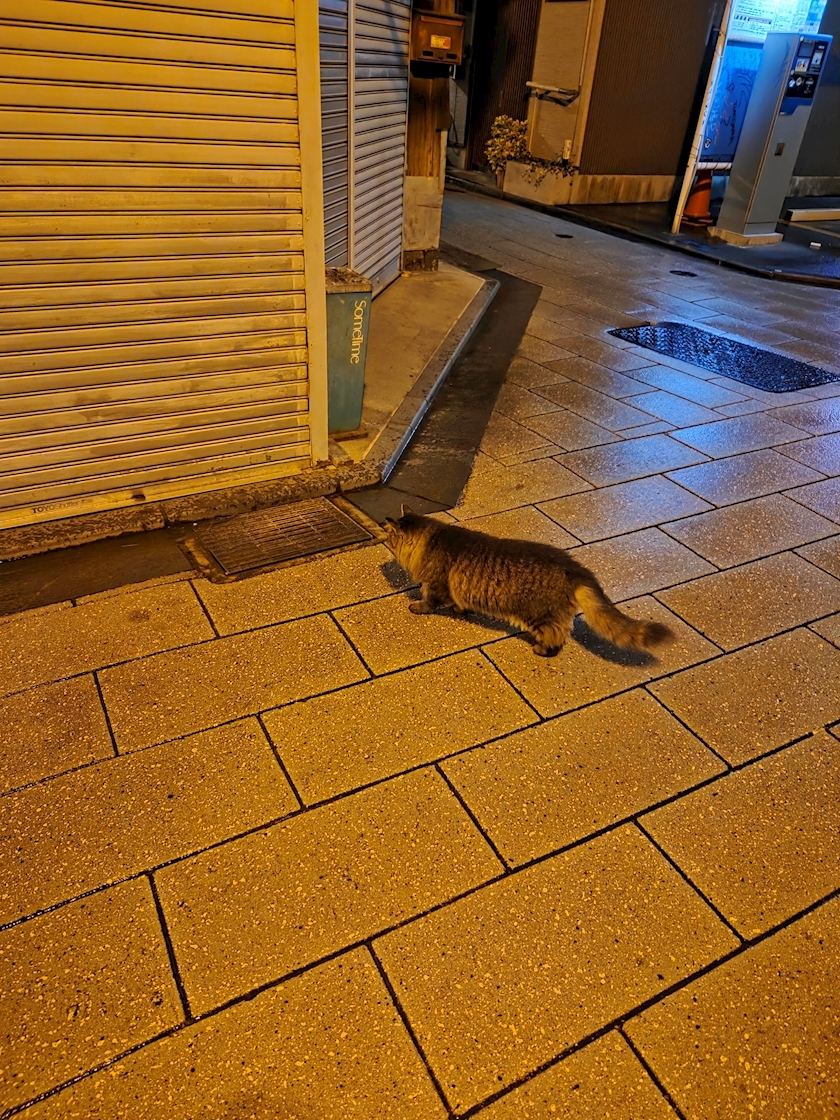 ほのか