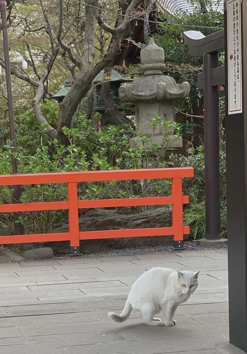 つき