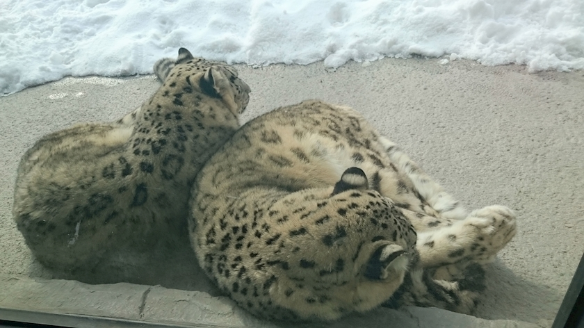 のはら かすみ