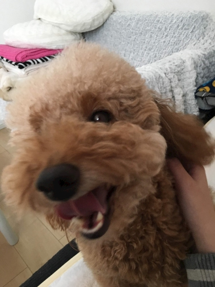 るい