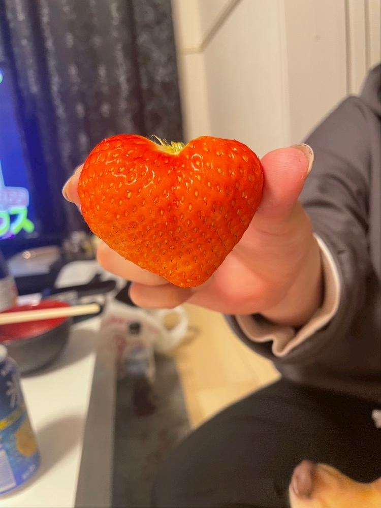 美月