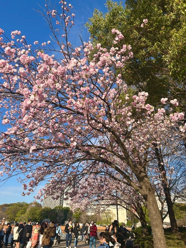 かびるんるんさわ