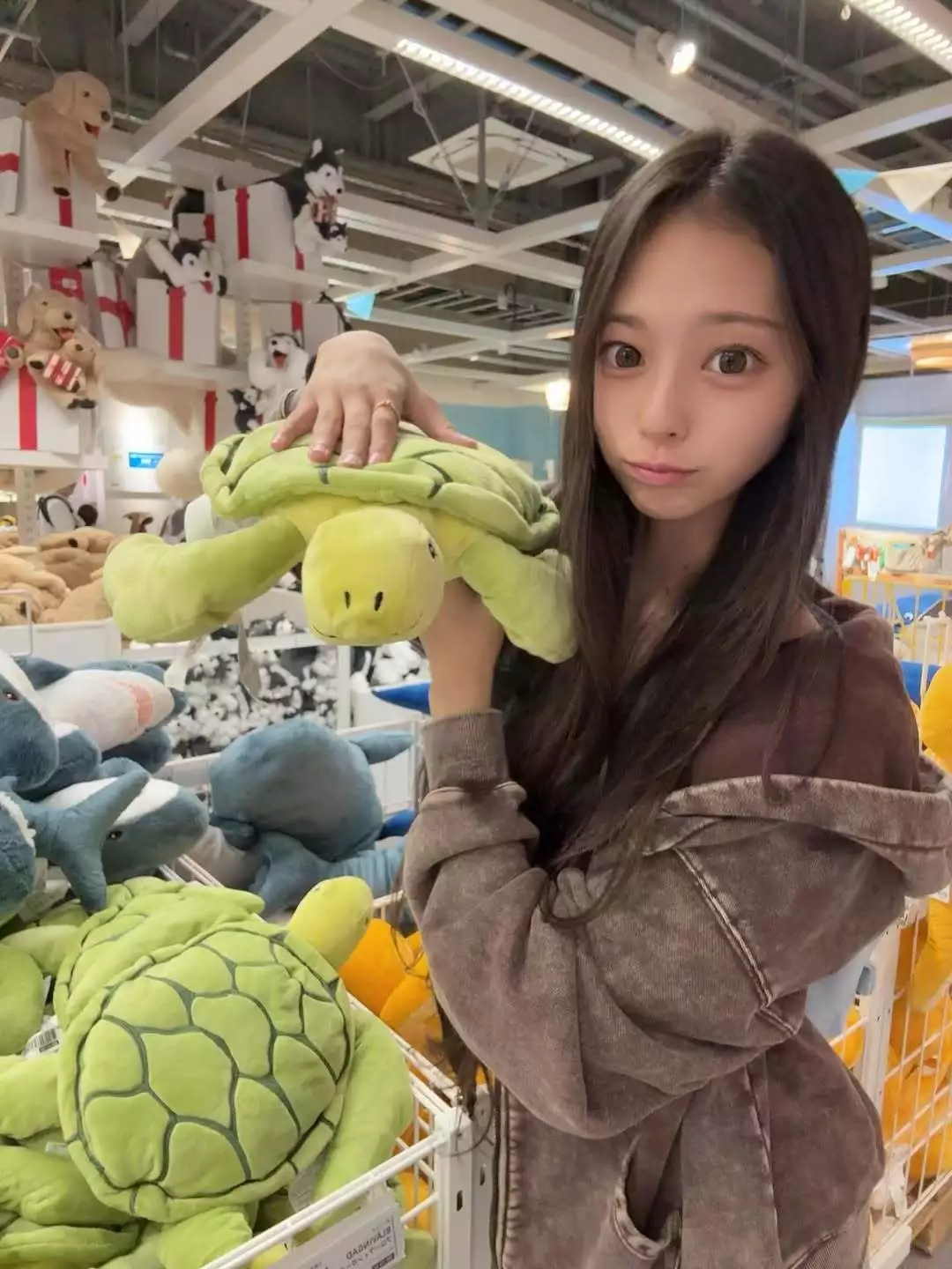 ひまり