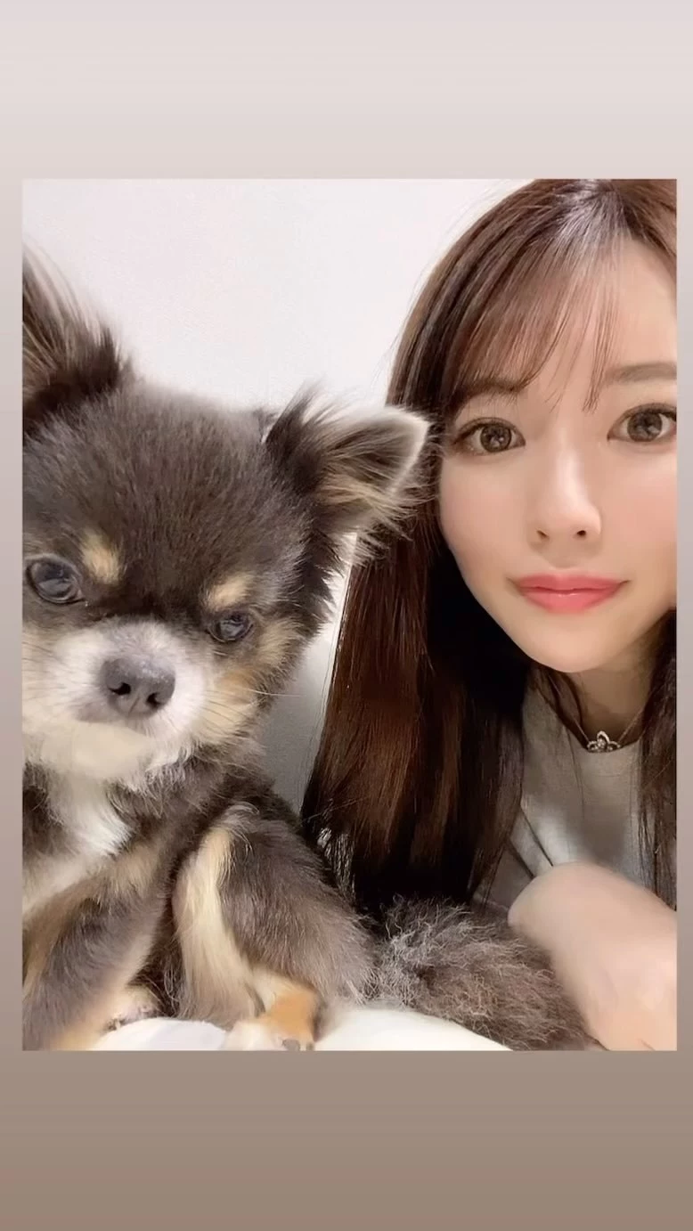 さくら