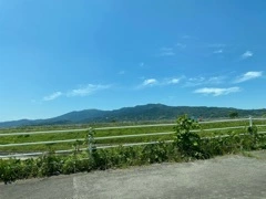 はづき