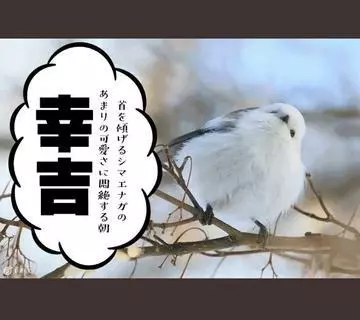 ひな
