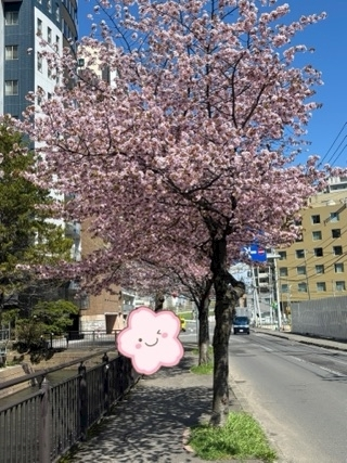 美月 れい