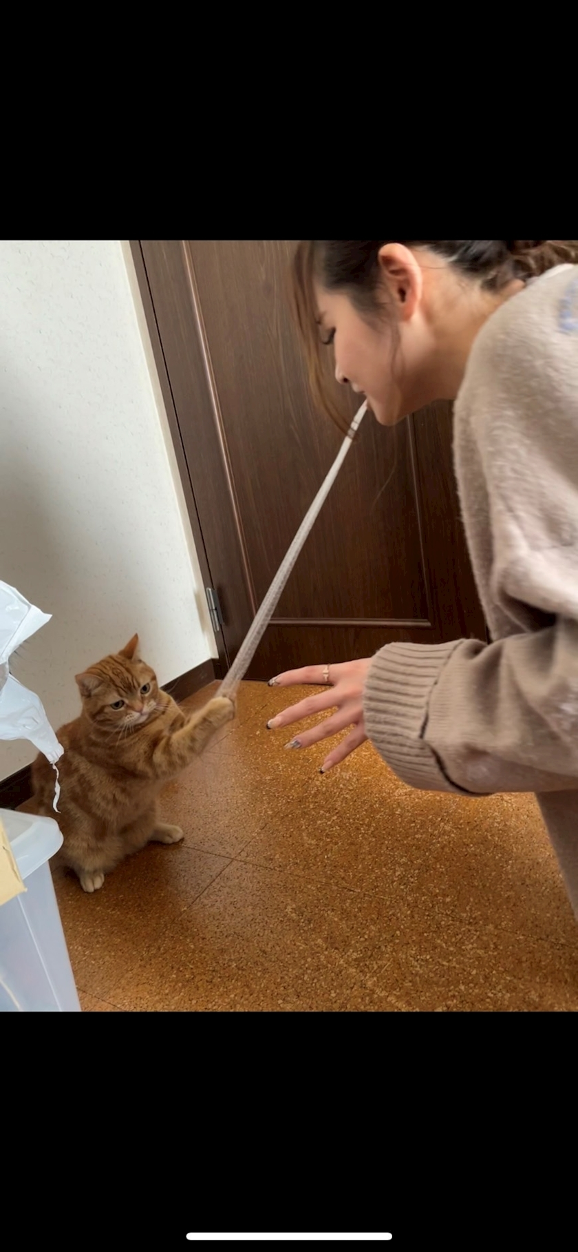 のぞみ