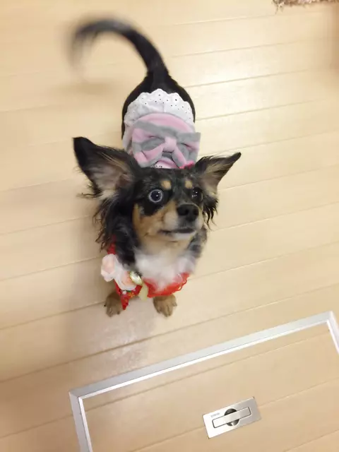 美月 あいみ