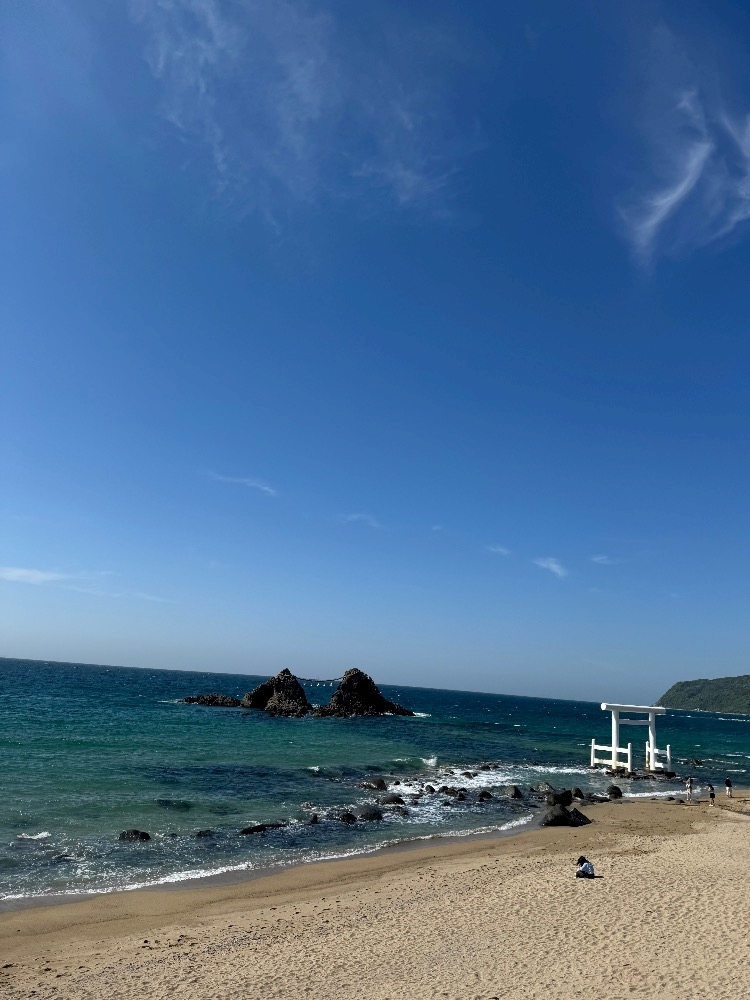 紬 むぎ