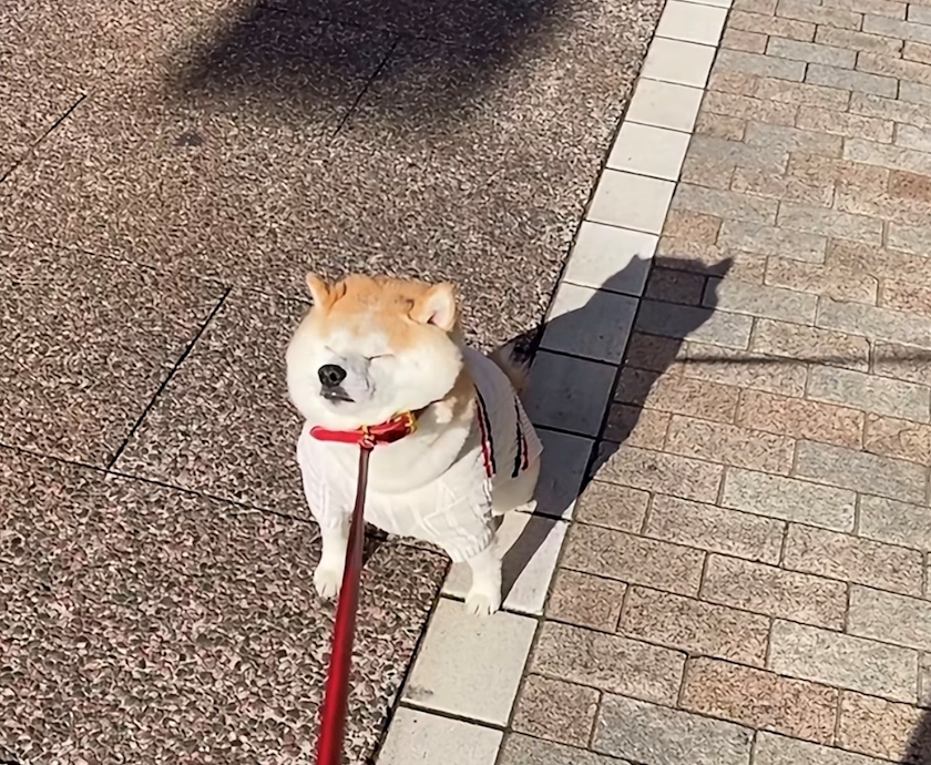 ゆな