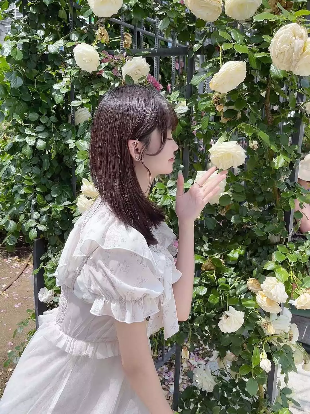 ゆき