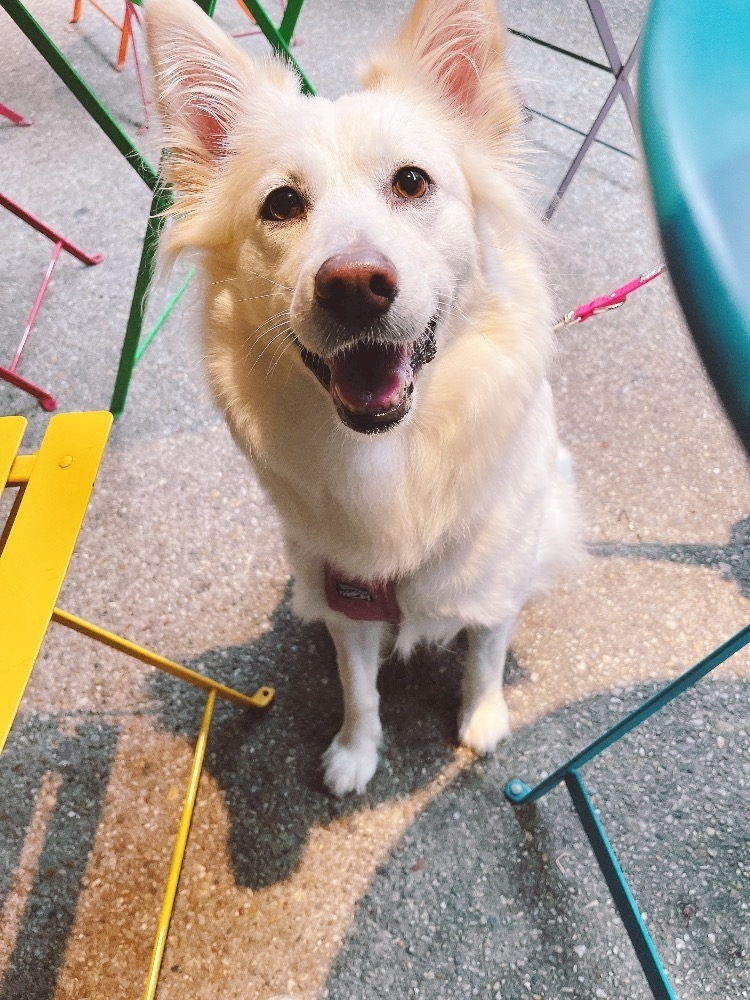 京 さゆみ