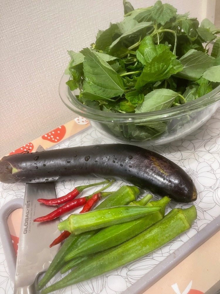 琶月 さな