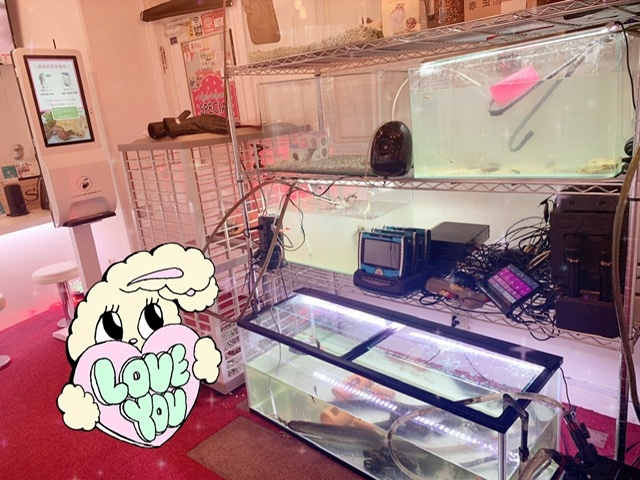 なな