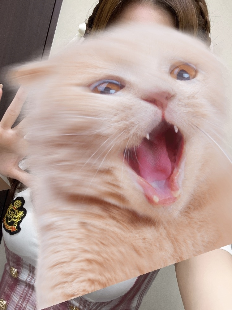 四宮 ねこ