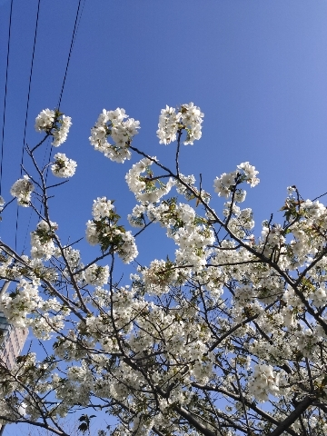 みなみ