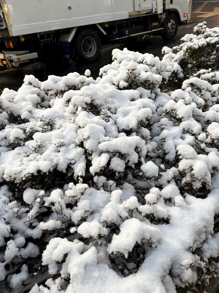 あーだこーだそら