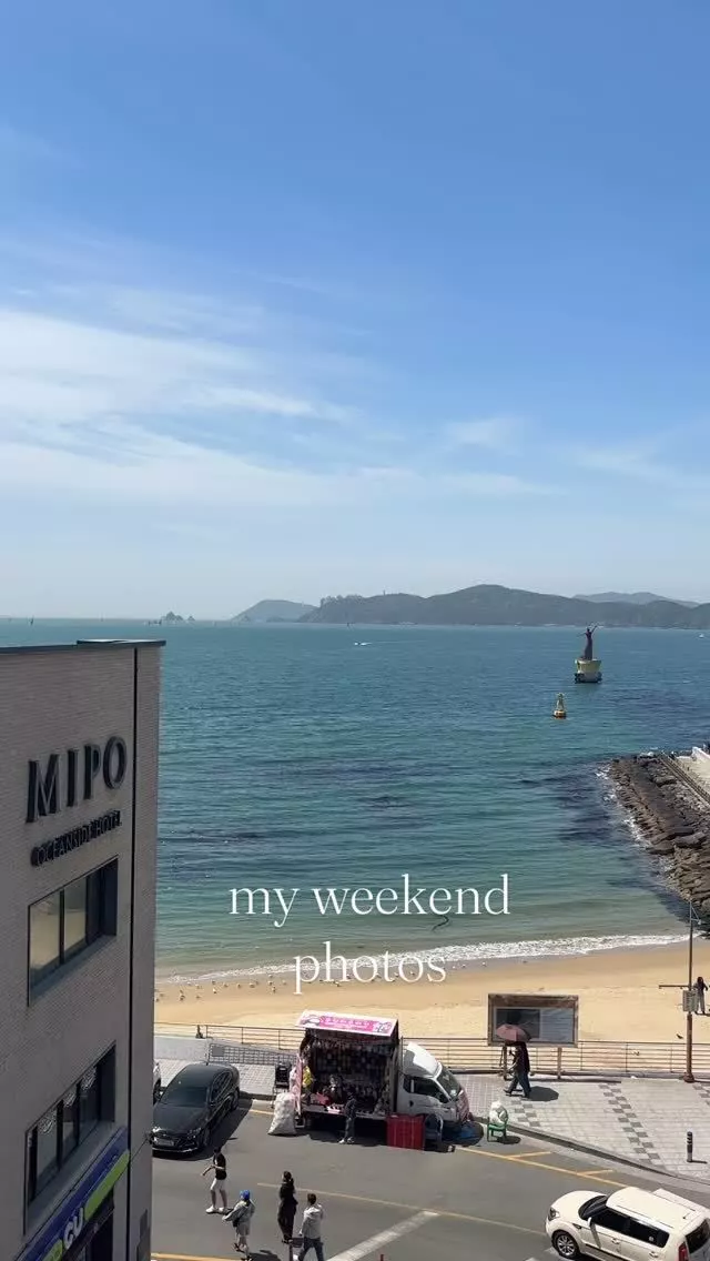 桃星 杏