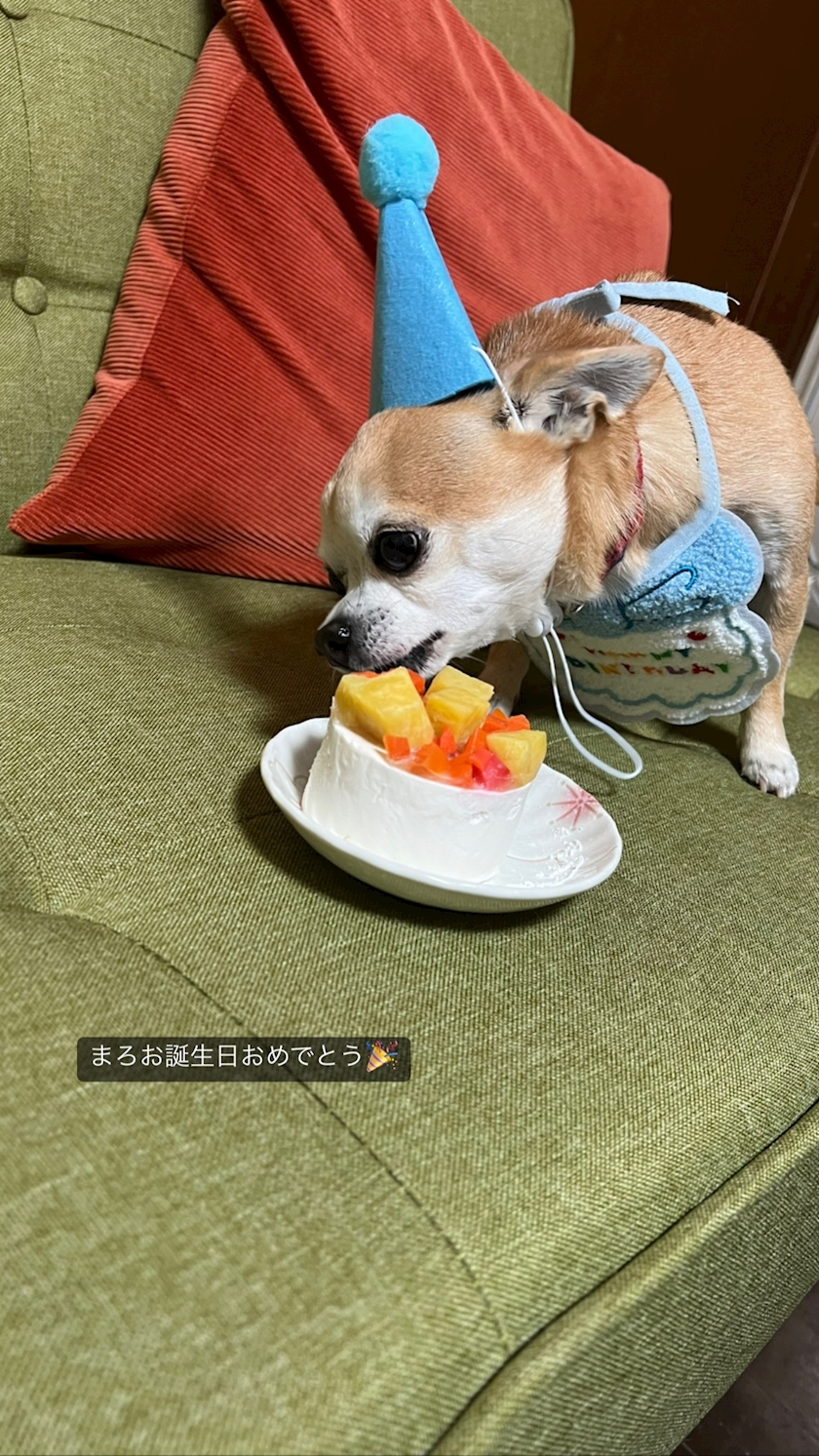 かんな