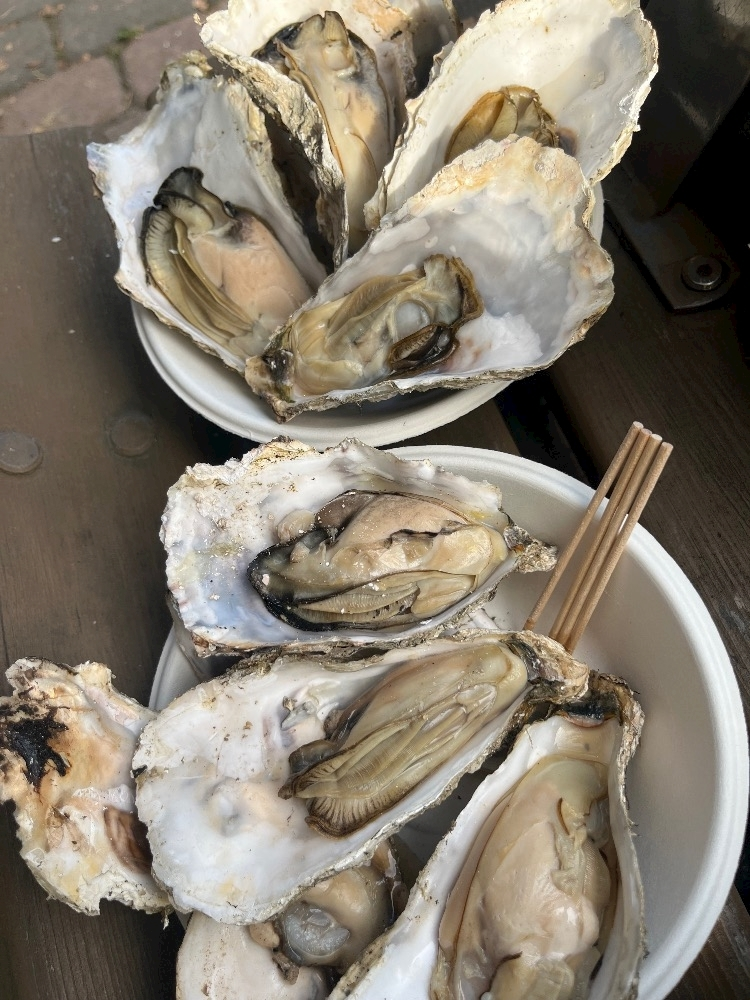 綾瀬 優