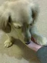 藤沢 のん