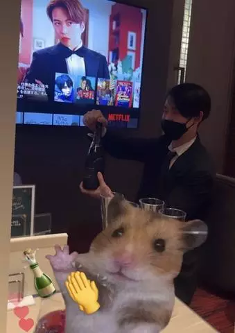 七星 夏純