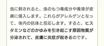 ひな