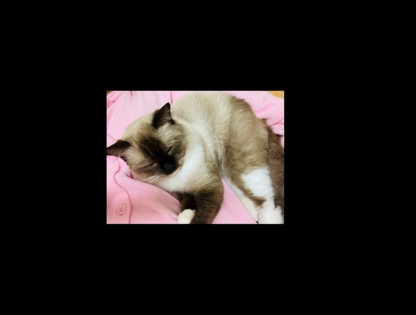 甘眠冠  しの