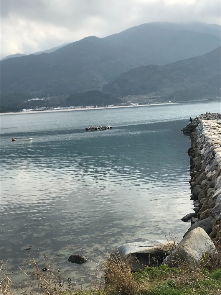 諸星 海