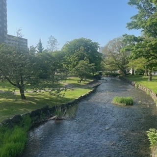 成海 まお