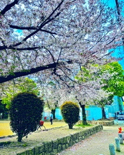 ゆかり