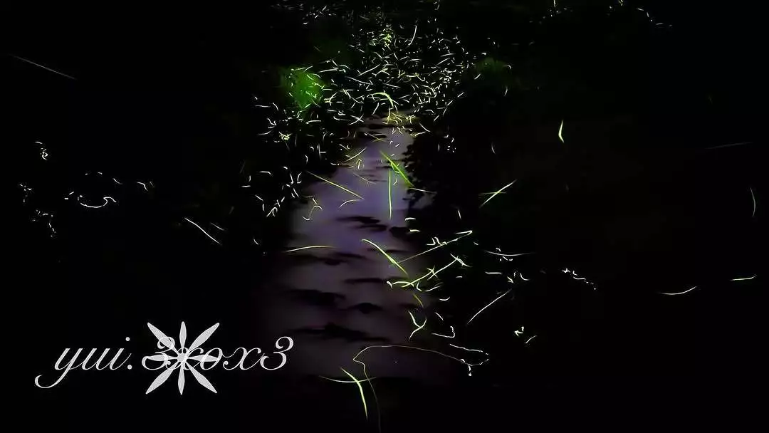 神崎　唯