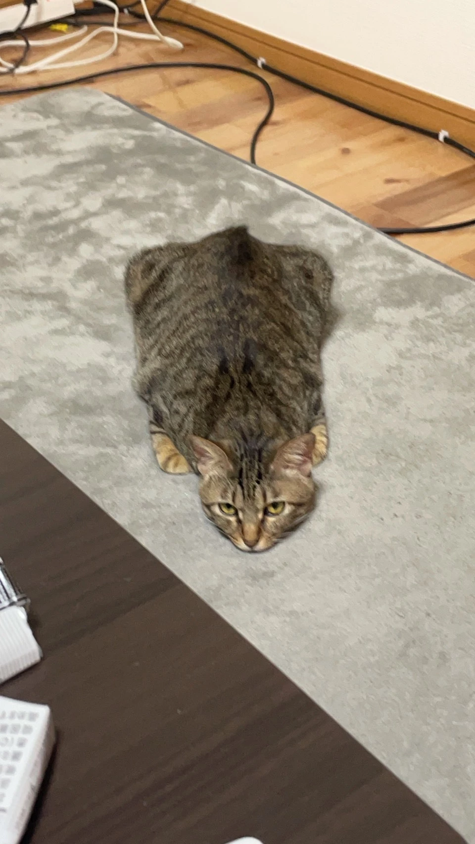 ななほ