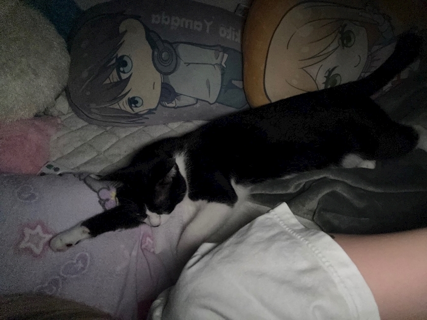 サキ