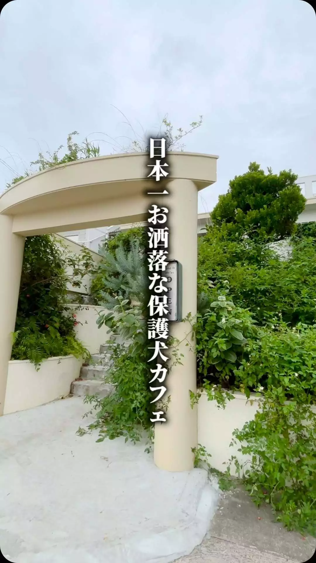 みこ