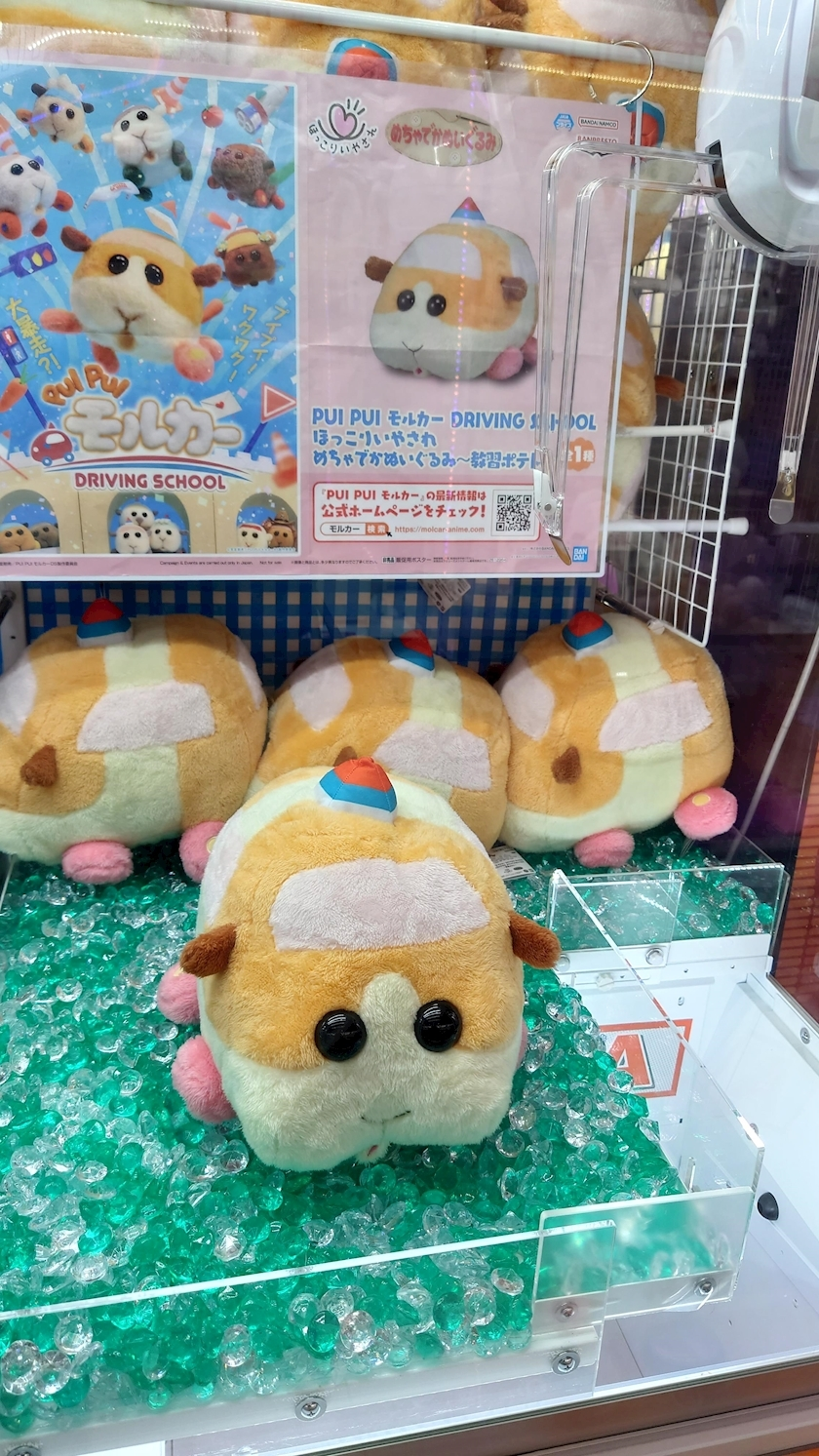 のはら かすみ