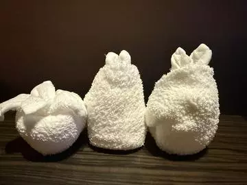 白石 愛莉