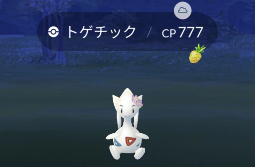 五条 椿