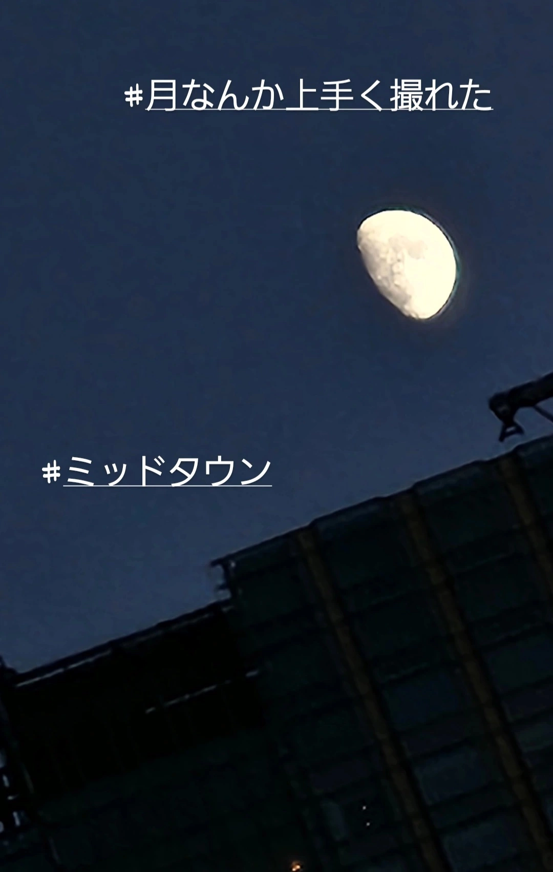 紫音